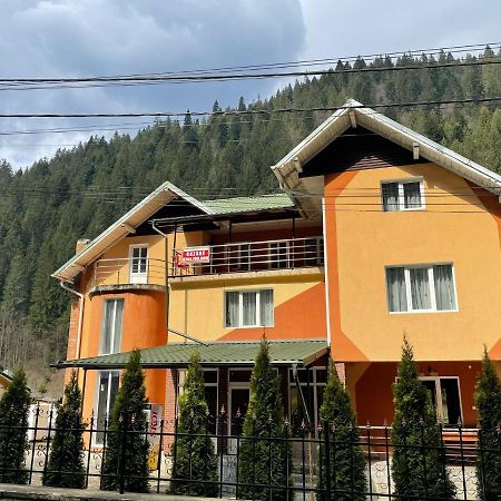 Pensiunea Pe Drumuri De Munte Borca Exterior foto