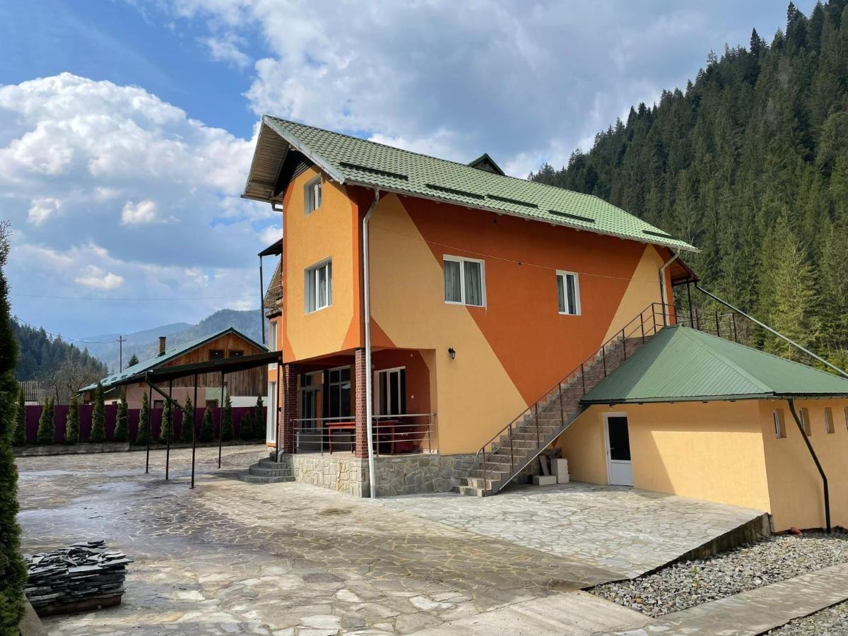 Pensiunea Pe Drumuri De Munte Borca Exterior foto